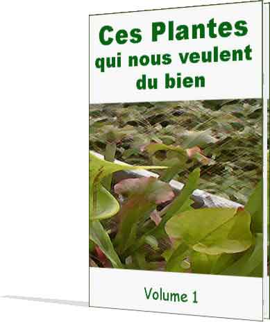 Ces plantes qui nous veulent du bien Vol 1